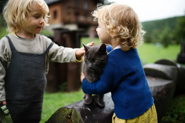 Små barn leker utomhus med en katt i trädgården. — Stockfoto