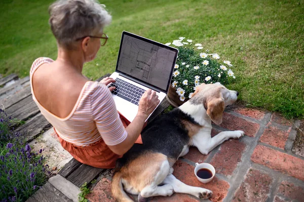 Вид ззаду на старшу жінку архітектора з ноутбуком, що працює на відкритому повітрі в саду, концепція домашнього офісу . — стокове фото
