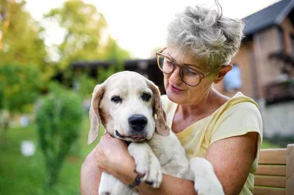 Bahçede elinde evcil bir köpekle duran yaşlı bir kadının portresi.. — Stok fotoğraf