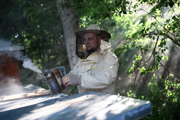 Retrato de apicultor homem trabalhando em apiário, usando fumante abelha. — Fotografia de Stock