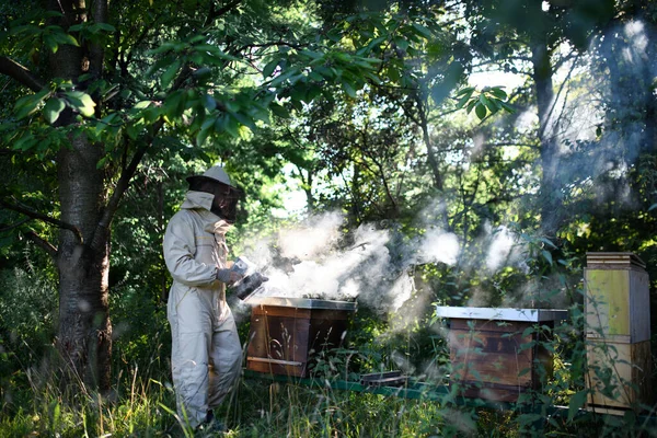 養蜂家が養蜂に従事している姿を蜂の喫煙者を使って. — ストック写真