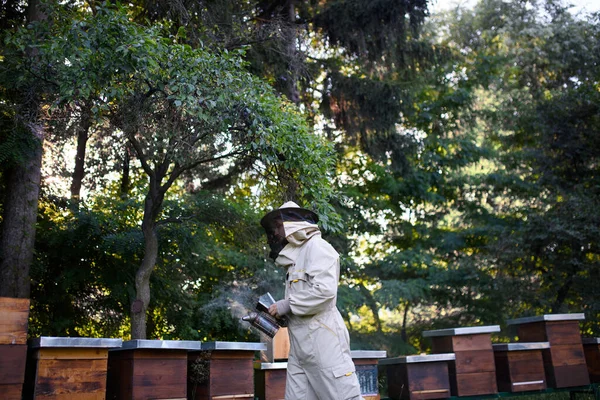 Portretul apicultorului care lucrează în stupină, folosind fumător de albine . — Fotografie, imagine de stoc