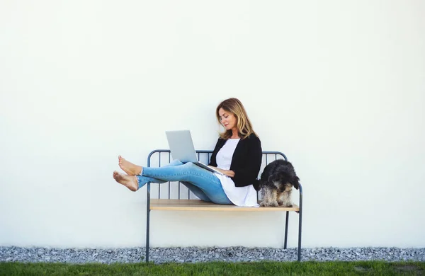 Gammal kvinna med hund arbetar på hemmakontoret utomhus på bänk, med hjälp av laptop. — Stockfoto