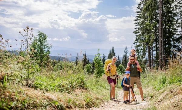 Familie mit kleinen Kindern wandern im Sommer draußen in der Natur. — Stockfoto