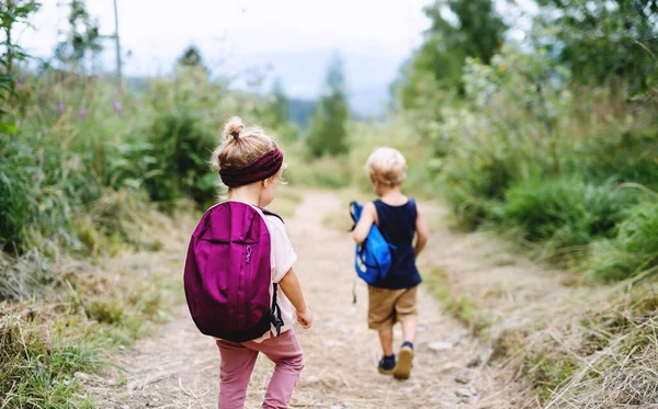 Vue arrière de petits enfants qui font de la randonnée en plein air en été nature. — Photo