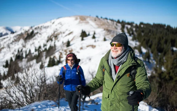 Coppia senior con bastoncini nordic walking trekking nella natura invernale innevata. — Foto Stock