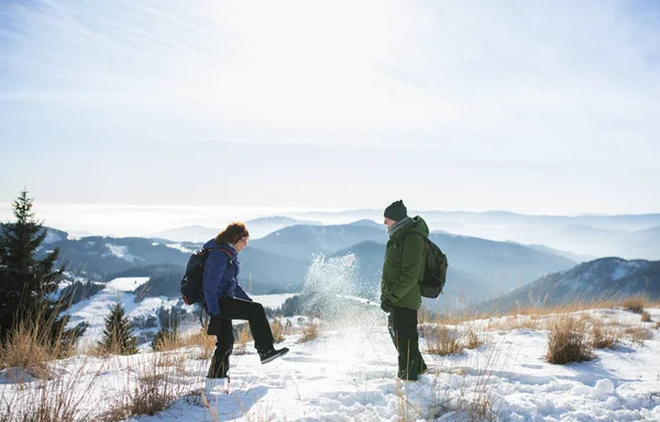 Kış doğasında karla kaplı duran yaşlı çift yürüyüşçülerinin yan görüntüsü. — Stok fotoğraf