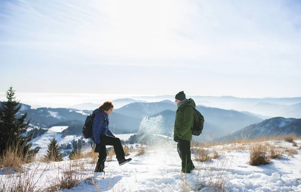 Vue latérale des randonneurs en couple âgés debout dans la nature hivernale enneigée. — Photo