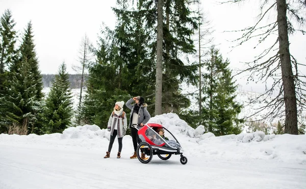 Far och mor med två små barn i släpvagn i vinternaturen, promenader i snön. — Stockfoto