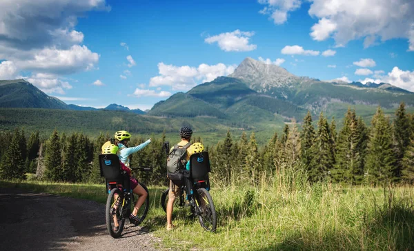 Vista trasera de la familia con niños pequeños en bicicleta al aire libre en verano naturaleza. —  Fotos de Stock