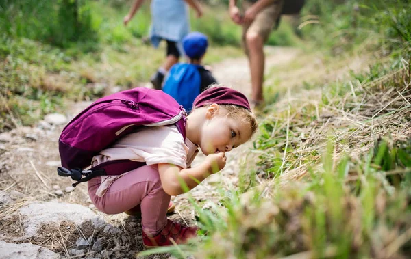 Portret van kleine peuter meisje buiten in de zomer natuur, verkennen. — Stockfoto