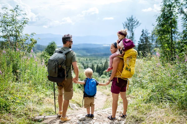 Zadní pohled na rodinu s malými dětmi pěší turistika venku v letní přírodě, odpočinek. — Stock fotografie