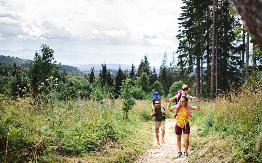 Family with small children hiking outdoors in summer nature.