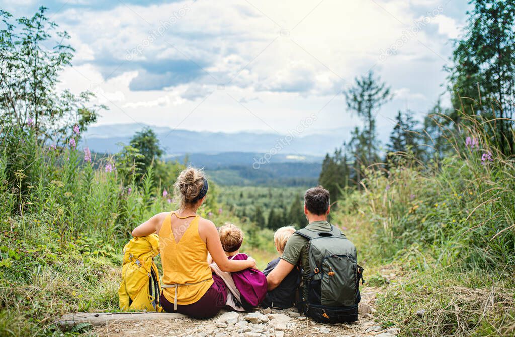 Rear view of family with small children hiking outdoors in summer nature, resting.