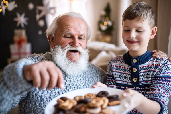 Маленький мальчик со старшим дедушкой дома на Рождество, ест печенье. — стоковое фото