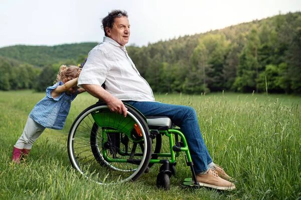 Mała dziewczynka z dziadkiem na wózku inwalidzkim na spacerze po łące w naturze. — Zdjęcie stockowe