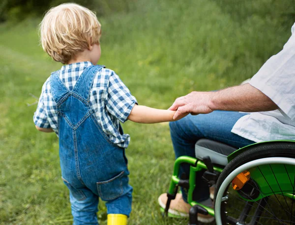 Petit garçon avec méconnaissable grand-père aîné en fauteuil roulant sur une promenade sur prairie dans la nature. — Photo