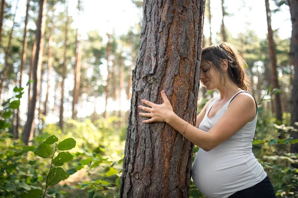 Portrait of meditating pregnant woman outdoors in nature, hugging tree. — Stock Photo, Image