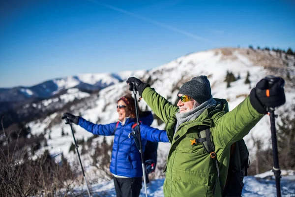 Escursionisti anziani con bastoncini da nordic walking nella natura invernale innevata, braccia tese. — Foto Stock