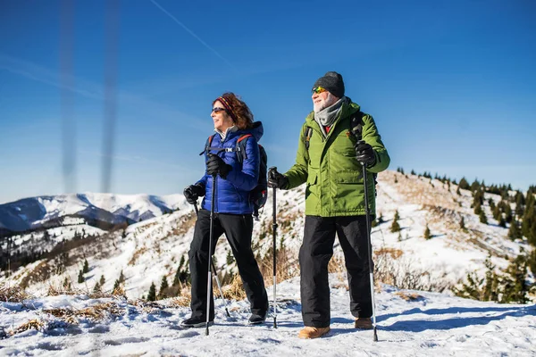Starší pár s nordic vycházkové hole pěší turistika ve zasněžené zimní přírodě. — Stock fotografie