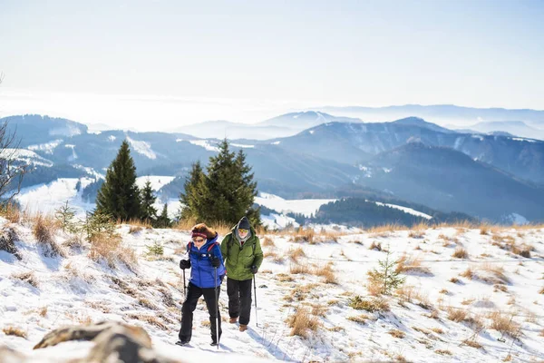 Äldre par med nordiska gångstavar vandrar i snötäckt vinternatur. — Stockfoto