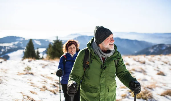 Karla kaplı kış doğasında yürüyüş yapan kuzeyli yürüyüş direkleri olan yaşlı çift.. — Stok fotoğraf