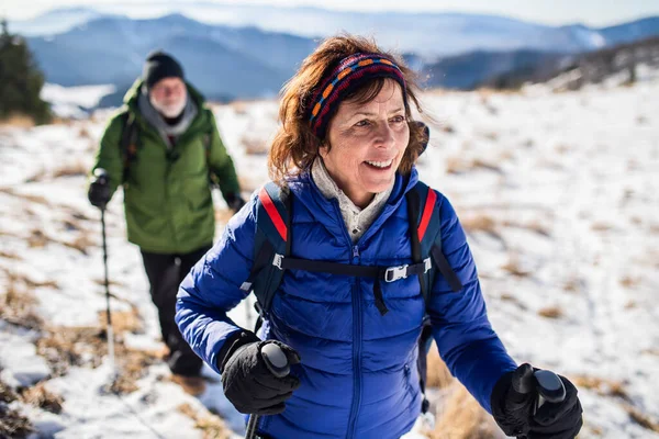 Idős pár skandináv sétapóznák túrázás havas téli természet. — Stock Fotó