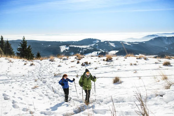 Seniorenpaar mit Nordic-Walking-Stöcken wandert in verschneiter Winternatur. — Stockfoto