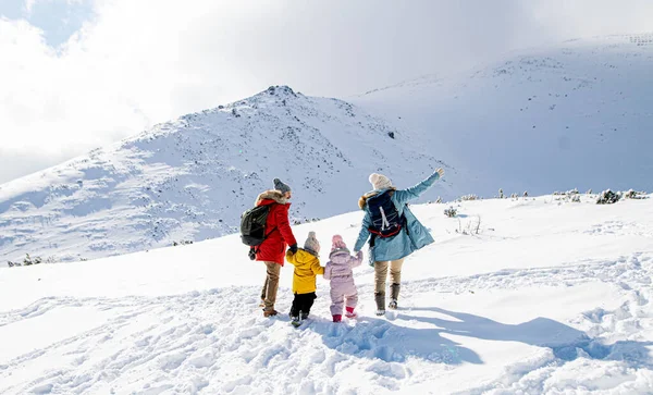 Вид семьи с двумя маленькими детьми на зимней природе, гуляющей по снегу. — стоковое фото