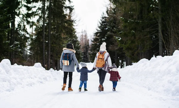 Vista trasera de la familia con dos niños pequeños en la naturaleza de invierno, caminando en la nieve. —  Fotos de Stock