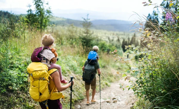 Vista posteriore della famiglia con bambini piccoli escursioni all'aria aperta nella natura estiva, passeggiate. — Foto Stock
