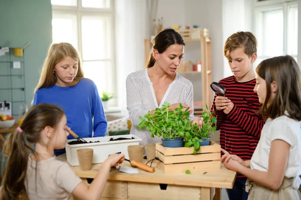 Grupo de niños con educación en el hogar con el maestro plantando hierbas en el interior, concepto de coronavirus. — Foto de Stock