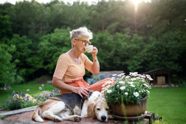 Portrait of senior woman with pet dog sitting outdoors in garden, relaxing with coffee. clipart