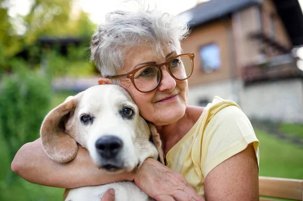 Yaşlı bir kadının portresi bahçede oturmuş, elinde evcil bir köpekle.. — Stok fotoğraf