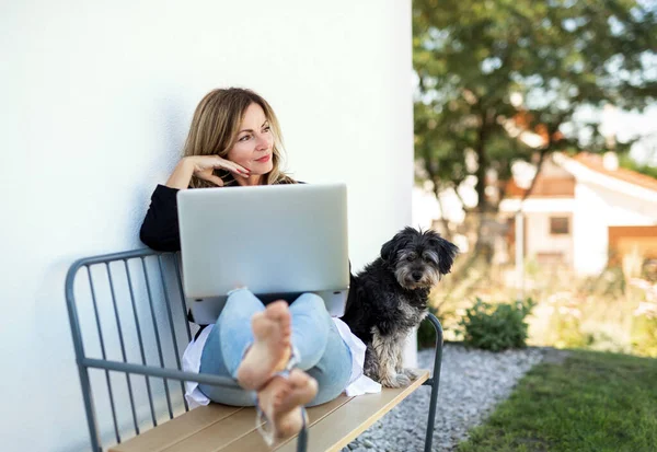 Mulher madura com cão trabalhando em casa escritório ao ar livre no banco, usando laptop. — Fotografia de Stock