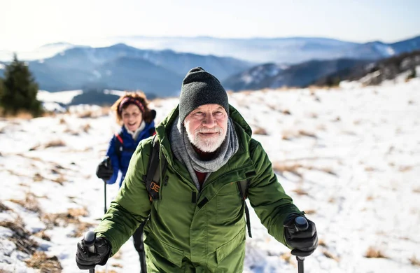 Äldre par med nordiska gångstavar vandrar i snötäckt vinternatur. — Stockfoto