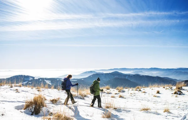 Coppia senior con bastoncini nordic walking trekking nella natura invernale innevata. — Foto Stock