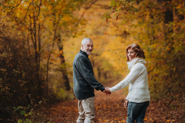 Elderly couple walking hand in hand through autumn forest, front view.