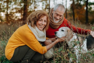 Yaşlı adam ve kadın sonbahar günü köpeklerini doğada gezdiriyorlar. Portre.
