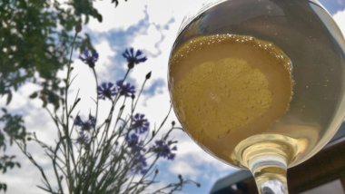 yaz aylarında taze bir içecek