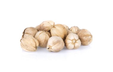 Egzotik baharatlar kavramı organik Siam veya Tay kakule bakla beyaz arka plan üzerinde.