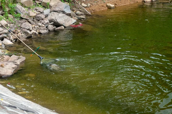 Bild Von Der Fischereitätigkeit Den Fisch Fangen Und Mit Dem — Stockfoto