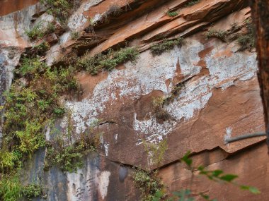 Bir uçurum Batı çatal, Oak Creek Kanyon Sedona, Arizona kuzeyinde lekeli Kırmızı kayaların doğal soyut.