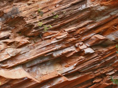 Bir uçurum Batı çatal, Oak Creek Kanyon Sedona, Arizona kuzeyinde lekeli Kırmızı kayaların doğal soyut.