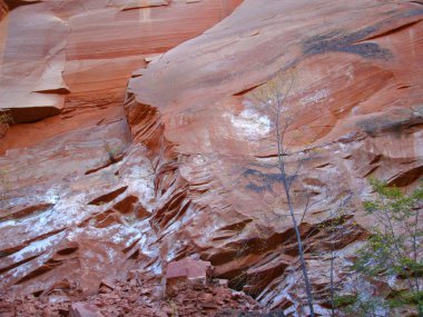 Oak Kanyon, Batı çatal tarafından Sedona, Arizona kuzeyindeki çöl vernik lekeli kırmızı kaya duvarları doğal soyut resim.