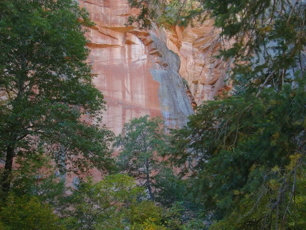 橡树峡谷西叉红色岩石墙的自然抽象图像被沙漠清漆玷污 亚利桑那州塞多纳以北 — 图库照片