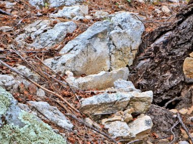 Renkli taş Mount Lemmon Tucson, Arizona doğusunda bulunan doğal soyut resim.