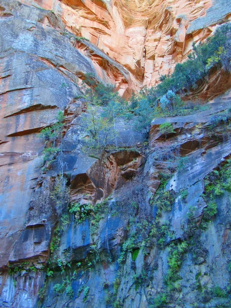 Naturalny Obraz Abstrakcja Czerwony Skalne Ściany West Widelec Dąb Canyon — Zdjęcie stockowe