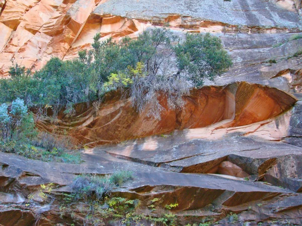 Naturalny Obraz Abstrakcja Czerwony Skalne Ściany West Widelec Dąb Canyon — Zdjęcie stockowe