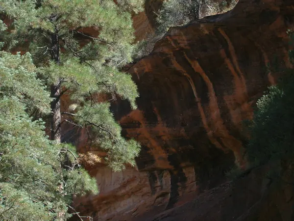 Natural Abstract Image Red Rock Walls West Fork Oak Canyon — Stock Photo, Image